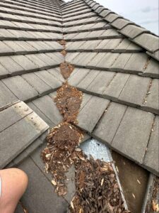 Close-up of a gray tile roof valley with leaf debris.