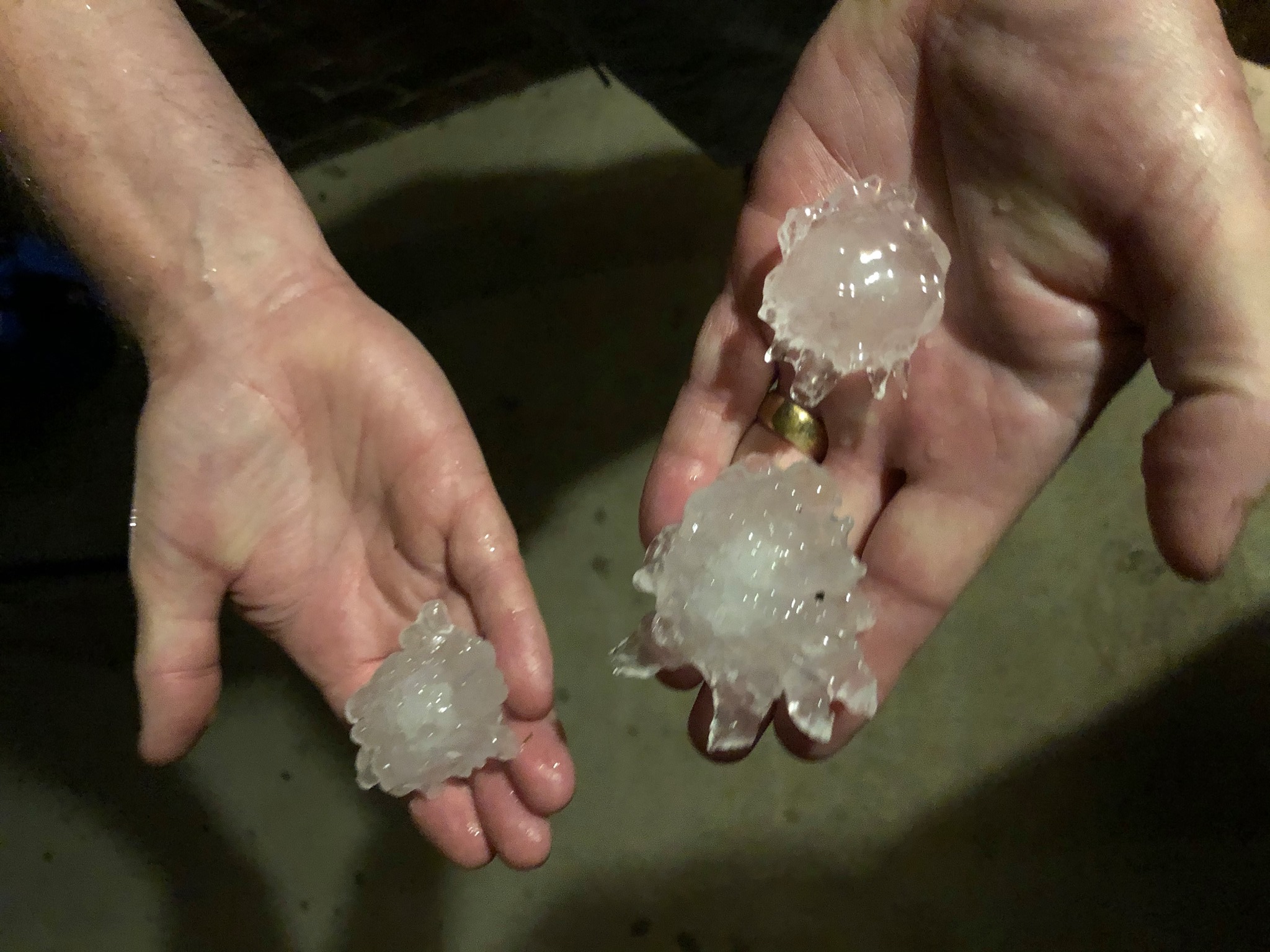 Large 2” hailstones produced by Texas storm.